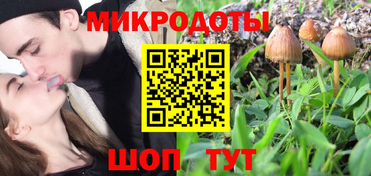 Псилоцибиновые грибы MAGIC MUSHROOMS  Вход с VPN  Владимир 